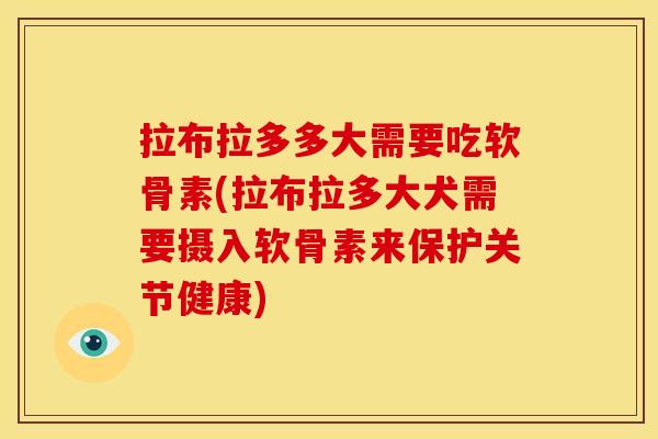 拉布拉多多大需要吃软骨素(拉布拉多大犬需要摄入软骨素来保护关节健康)