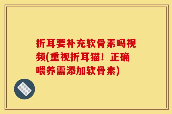 折耳要补充软骨素吗视频(重视折耳猫！正确喂养需添加软骨素)