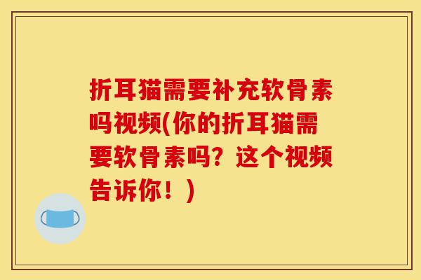 折耳猫需要补充软骨素吗视频(你的折耳猫需要软骨素吗？这个视频告诉你！)