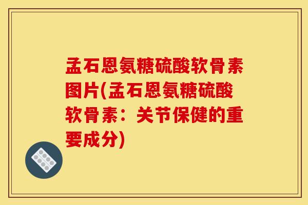 孟石恩氨糖硫酸软骨素图片(孟石恩氨糖硫酸软骨素：关节保健的重要成分)
