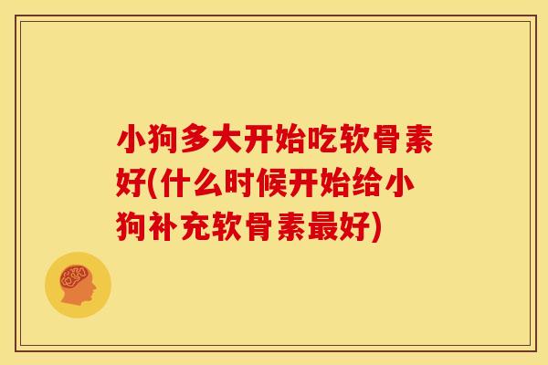 小狗多大开始吃软骨素好(什么时候开始给小狗补充软骨素最好)-第1张图片-关节骑士 小狗多大开始吃软骨素好(什么时候开始给小狗补充软骨素最好)-第1张图片-关节骑士
