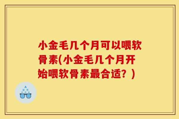 小金毛几个月可以喂软骨素(小金毛几个月开始喂软骨素最合适？)