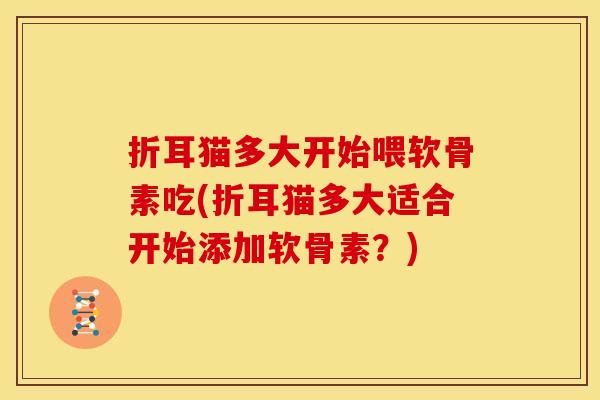 折耳猫多大开始喂软骨素吃(折耳猫多大适合开始添加软骨素？)