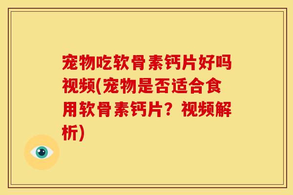 宠物吃软骨素钙片好吗视频(宠物是否适合食用软骨素钙片？视频解析)