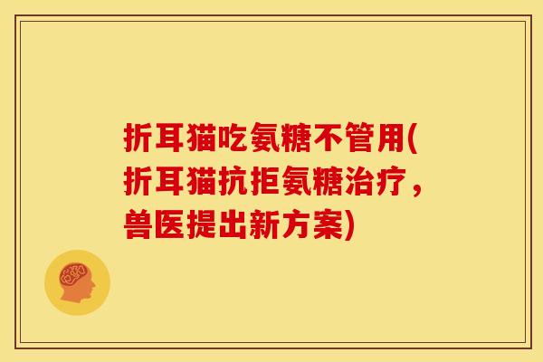 折耳猫吃氨糖不管用(折耳猫抗拒氨糖治疗,兽医提出新方案)-第1张图片-关节骑士 折耳猫吃氨糖不管用(折耳猫抗拒氨糖治疗,兽医提出新方案)-第1张图片-关节骑士