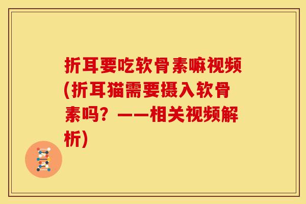 折耳要吃软骨素嘛视频(折耳猫需要摄入软骨素吗？——相关视频解析)-第1张图片-关节骑士