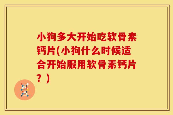 小狗多大开始吃软骨素钙片(小狗什么时候适合开始服用软骨素钙片？)