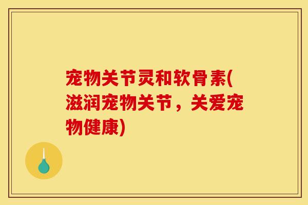 宠物关节灵和软骨素(滋润宠物关节，关爱宠物健康)