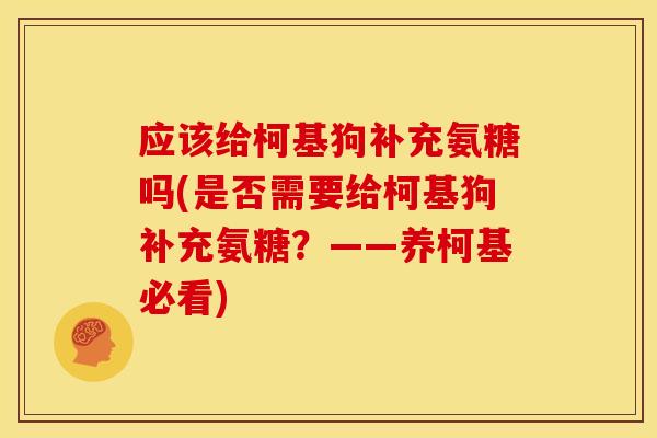 应该给柯基狗补充氨糖吗(是否需要给柯基狗补充氨糖？——养柯基必看)