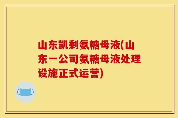 山东凯剩氨糖母液(山东一公司氨糖母液处理设施正式运营)