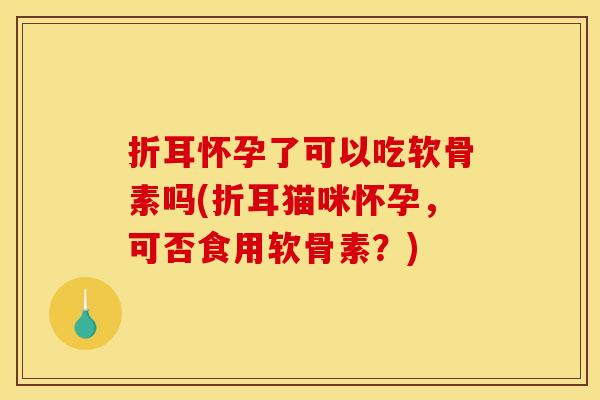 折耳怀孕了可以吃软骨素吗(折耳猫咪怀孕，可否食用软骨素？)-第1张图片-关节骑士