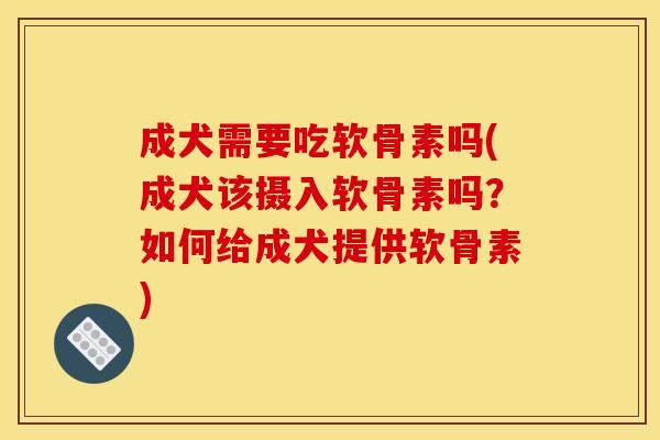 成犬需要吃软骨素吗(成犬该摄入软骨素吗？如何给成犬提供软骨素)-第1张图片-关节骑士