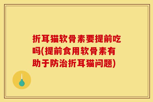 折耳猫软骨素要提前吃吗(提前食用软骨素有助于防治折耳猫问题)