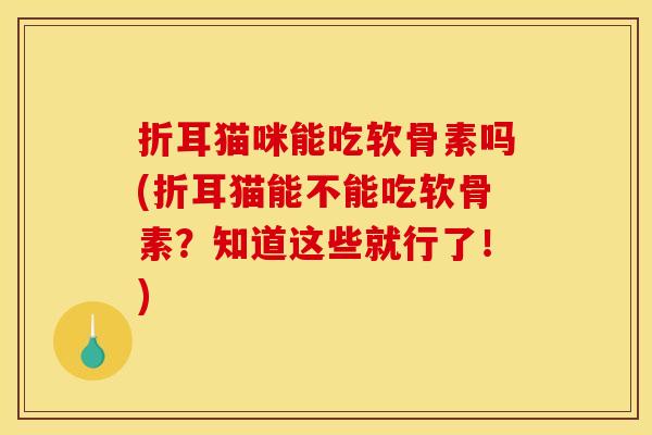 折耳猫咪能吃软骨素吗(折耳猫能不能吃软骨素？知道这些就行了！)