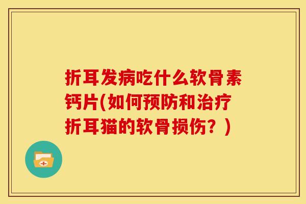 折耳发病吃什么软骨素钙片(如何预防和治疗折耳猫的软骨损伤？)