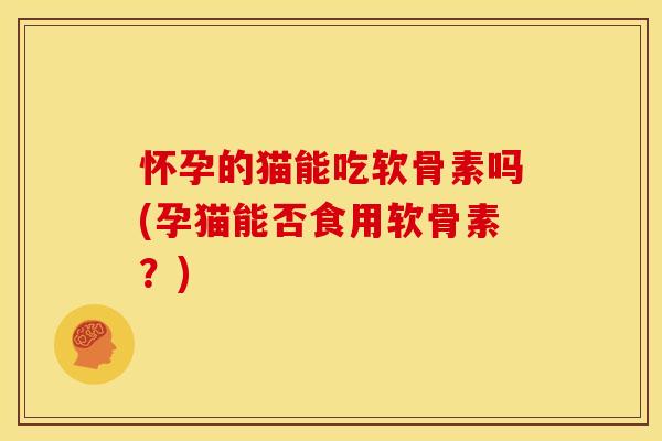 怀孕的猫能吃软骨素吗(孕猫能否食用软骨素？)-第1张图片-关节骑士