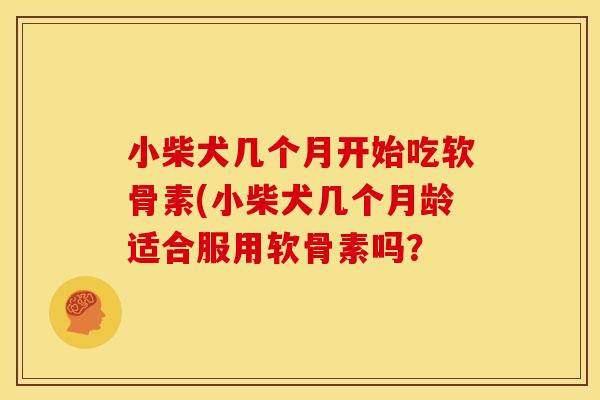 小柴犬几个月开始吃软骨素(小柴犬几个月龄适合服用软骨素吗？