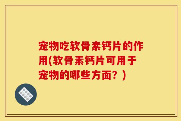 宠物吃软骨素钙片的作用(软骨素钙片可用于宠物的哪些方面？)
