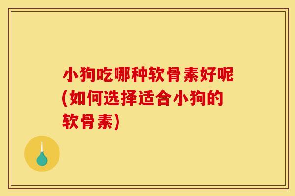 小狗吃哪种软骨素好呢(如何选择适合小狗的软骨素)
