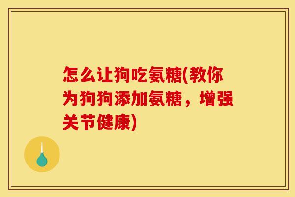 怎么让狗吃氨糖(教你为狗狗添加氨糖，增强关节健康)