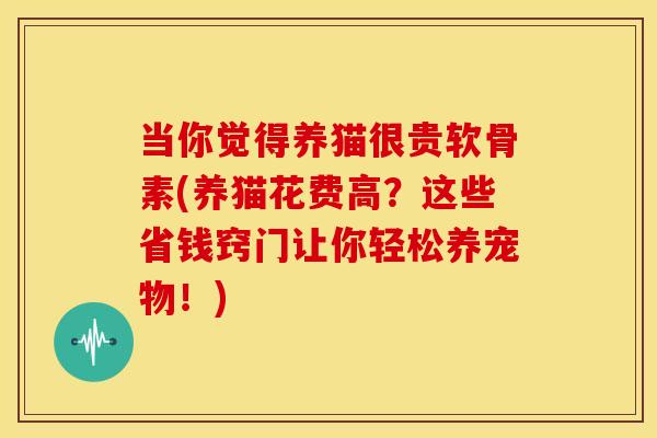 当你觉得养猫很贵软骨素(养猫花费高？这些省钱窍门让你轻松养宠物！)
