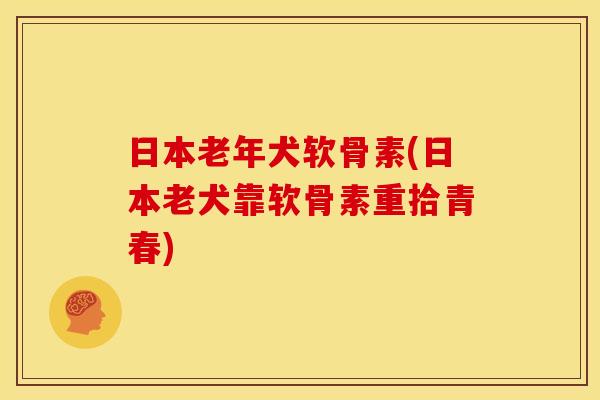 日本老年犬软骨素(日本老犬靠软骨素重拾青春)