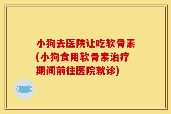 小狗去医院让吃软骨素(小狗食用软骨素治疗期间前往医院就诊)