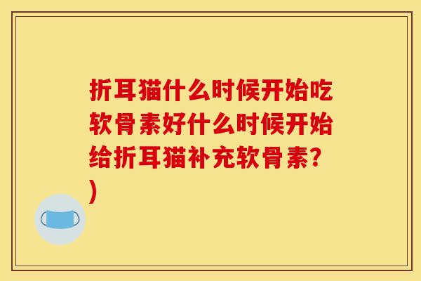 折耳猫什么时候开始吃软骨素好什么时候开始给折耳猫补充软骨素？)-第1张图片-关节骑士