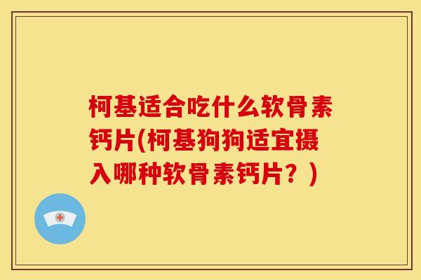 柯基适合吃什么软骨素钙片(柯基狗狗适宜摄入哪种软骨素钙片？)