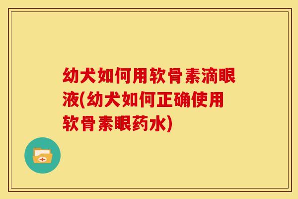 幼犬如何用软骨素滴眼液(幼犬如何正确使用软骨素眼药水)