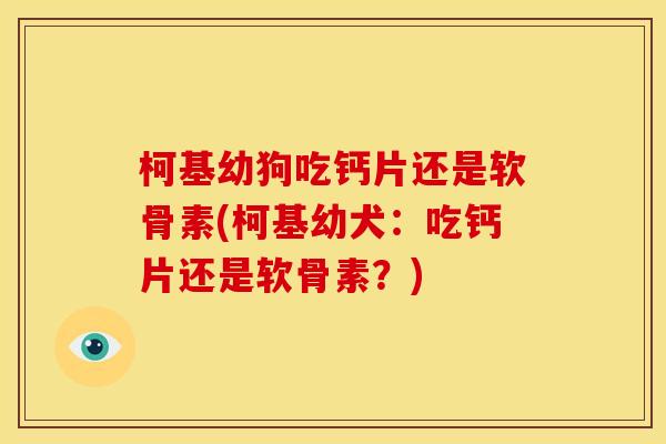 柯基幼狗吃钙片还是软骨素(柯基幼犬：吃钙片还是软骨素？)