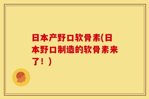 日本产野口软骨素(日本野口制造的软骨素来了！)