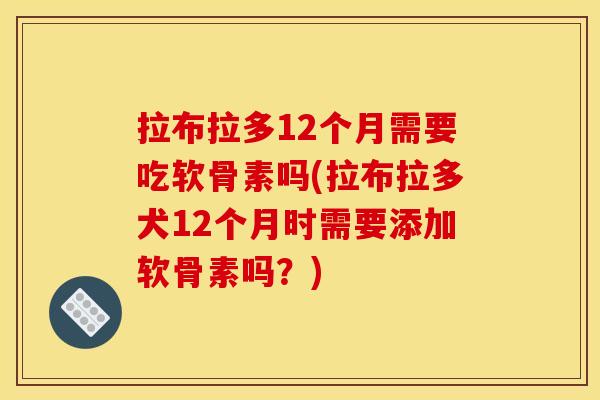 拉布拉多12个月需要吃软骨素吗(拉布拉多犬12个月时需要添加软骨素吗？)-第1张图片-关节骑士