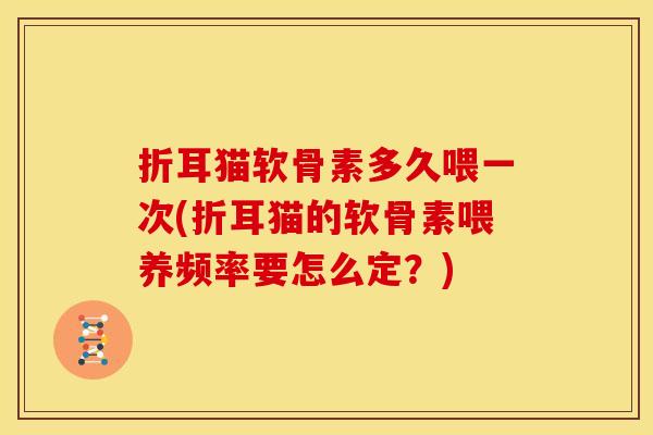 折耳猫软骨素多久喂一次(折耳猫的软骨素喂养频率要怎么定？)