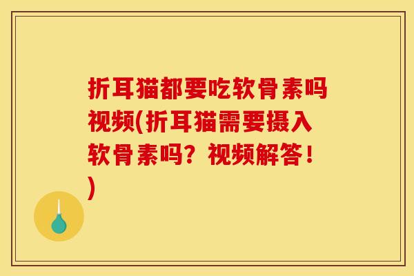 折耳猫都要吃软骨素吗视频(折耳猫需要摄入软骨素吗？视频解答！)
