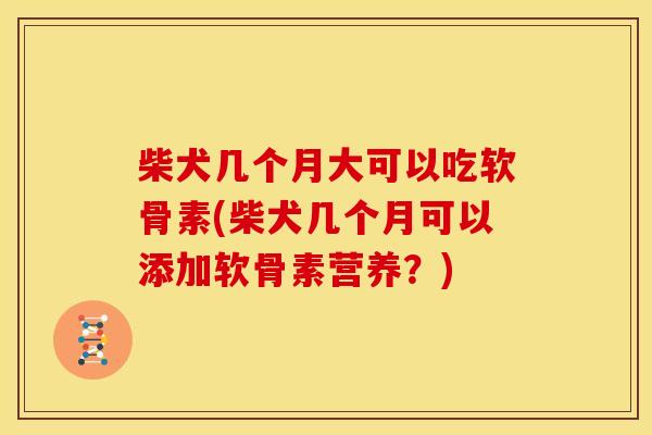 柴犬几个月大可以吃软骨素(柴犬几个月可以添加软骨素营养？)