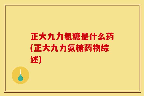 正大九力氨糖是什么药(正大九力氨糖药物综述)