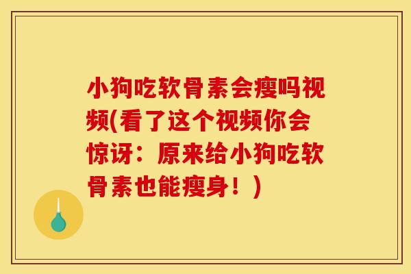 小狗吃软骨素会瘦吗视频(看了这个视频你会惊讶:原来给小狗吃软骨素也能瘦身!)-第1张图片-关节骑士 小狗吃软骨素会瘦吗视频(看了这个视频你会惊讶:原来给小狗吃软骨素也能瘦身!)-第1张图片-关节骑士