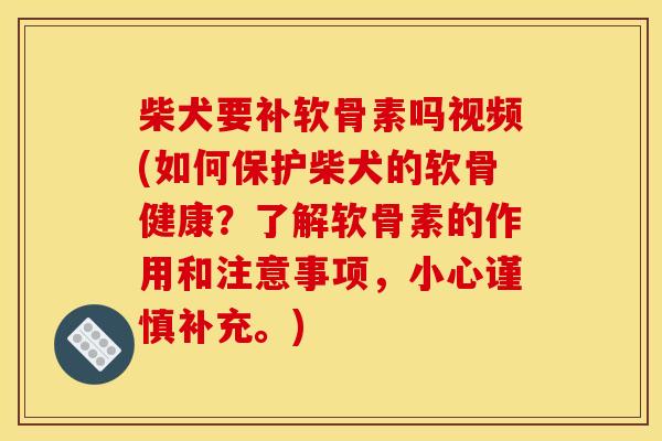 柴犬要补软骨素吗视频(如何保护柴犬的软骨健康？了解软骨素的作用和注意事项，小心谨慎补充。)