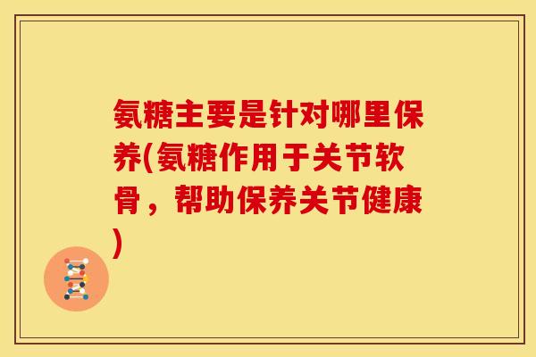 氨糖主要是针对哪里保养(氨糖作用于关节软骨，帮助保养关节健康)