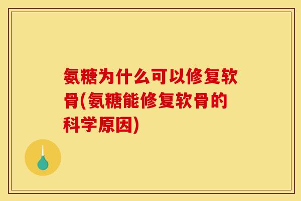 氨糖为什么可以修复软骨(氨糖能修复软骨的科学原因)