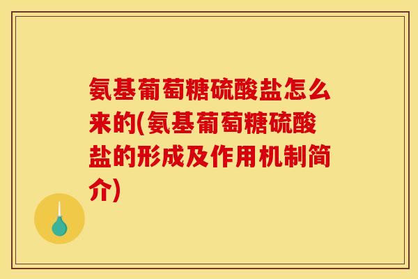 氨基葡萄糖硫酸盐怎么来的(氨基葡萄糖硫酸盐的形成及作用机制简介)-第1张图片-关节骑士 氨基葡萄糖硫酸盐怎么来的(氨基葡萄糖硫酸盐的形成及作用机制简介)-第1张图片-关节骑士