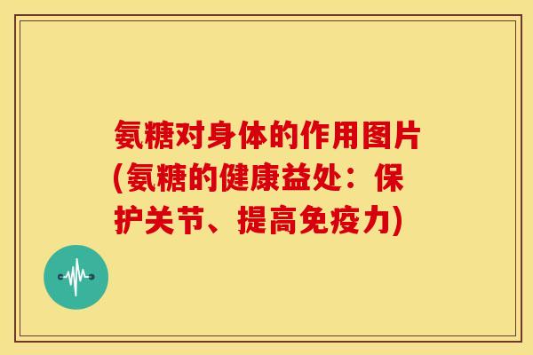 氨糖对身体的作用图片(氨糖的健康益处:保护关节、提高免疫力)-第1张图片-关节骑士 氨糖对身体的作用图片(氨糖的健康益处:保护关节、提高免疫力)-第1张图片-关节骑士