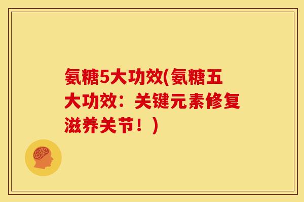氨糖5大功效(氨糖五大功效：关键元素修复滋养关节！)