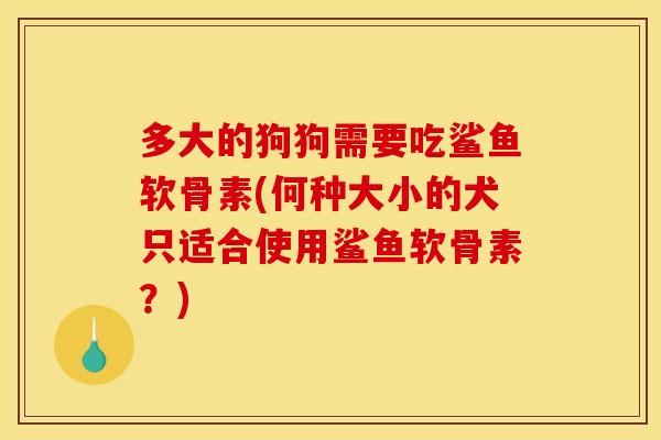 多大的狗狗需要吃鲨鱼软骨素(何种大小的犬只适合使用鲨鱼软骨素？)