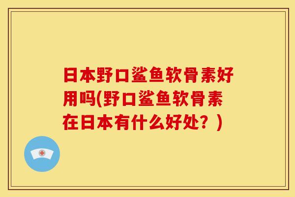 日本野口鲨鱼软骨素好用吗(野口鲨鱼软骨素在日本有什么好处？)-第1张图片-关节骑士