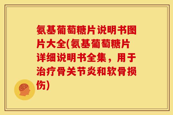 氨基葡萄糖片说明书图片大全(氨基葡萄糖片详细说明书全集，用于治疗骨关节炎和软骨损伤)-第1张图片-关节骑士