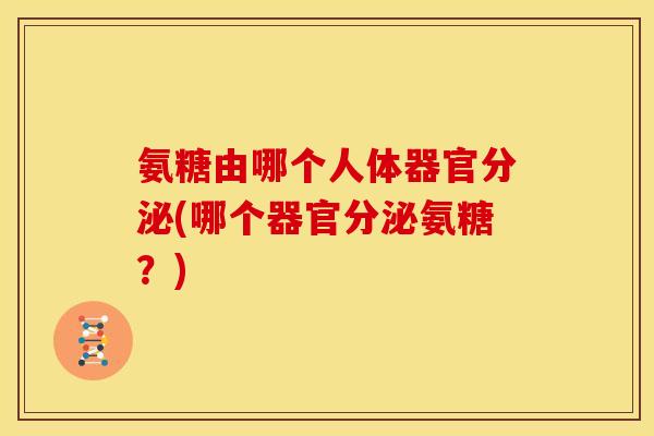 氨糖由哪个人体器官分泌(哪个器官分泌氨糖?)-第1张图片-关节骑士 氨糖由哪个人体器官分泌(哪个器官分泌氨糖?)-第1张图片-关节骑士