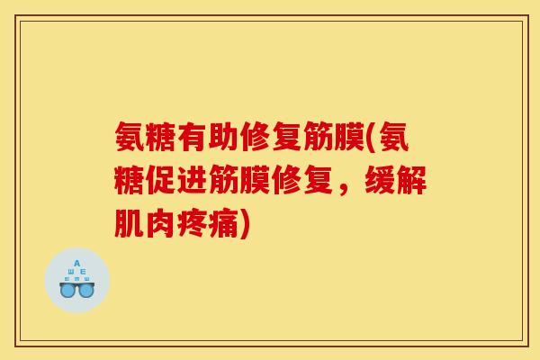 氨糖有助修复筋膜(氨糖促进筋膜修复,缓解肌肉疼痛)-第1张图片-关节骑士 氨糖有助修复筋膜(氨糖促进筋膜修复,缓解肌肉疼痛)-第1张图片-关节骑士