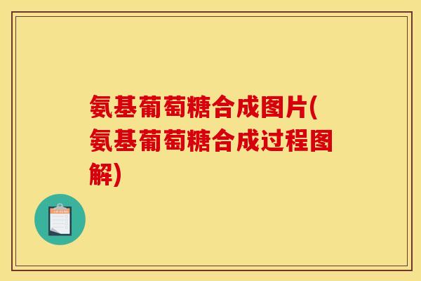 氨基葡萄糖合成图片(氨基葡萄糖合成过程图解)